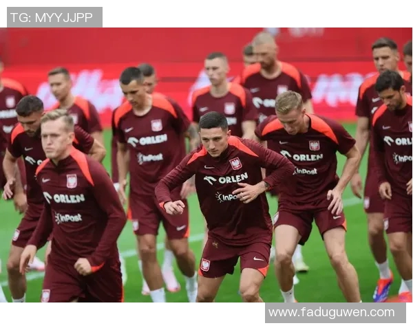 波兰国旗下的足球明星盘点及其辉煌成就解析