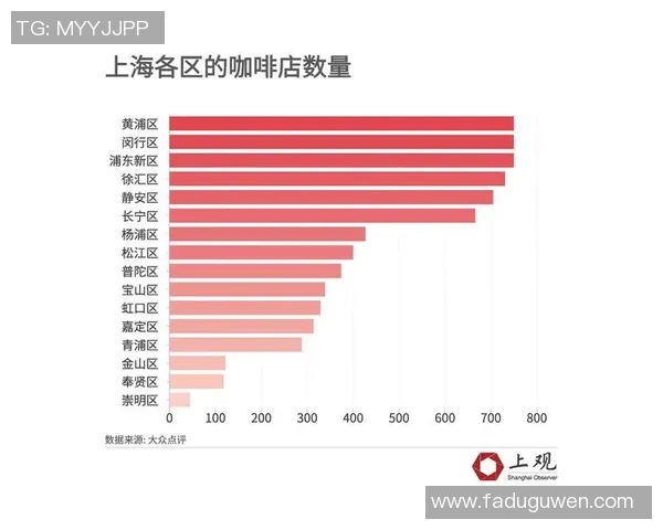 上海羽毛球队在城市联赛中的技术表现分析与点评