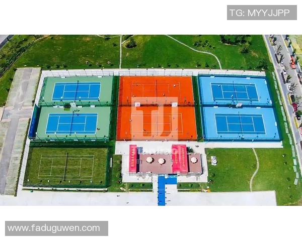 南京网球队中路突破的成功与挑战分析