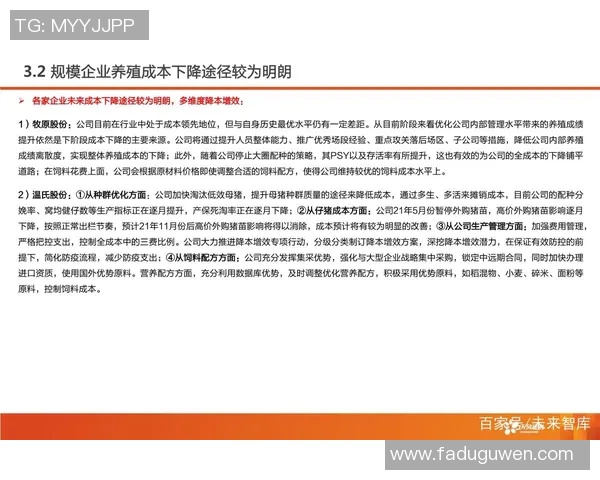 武汉足球队比赛经验分析与提升策略探讨