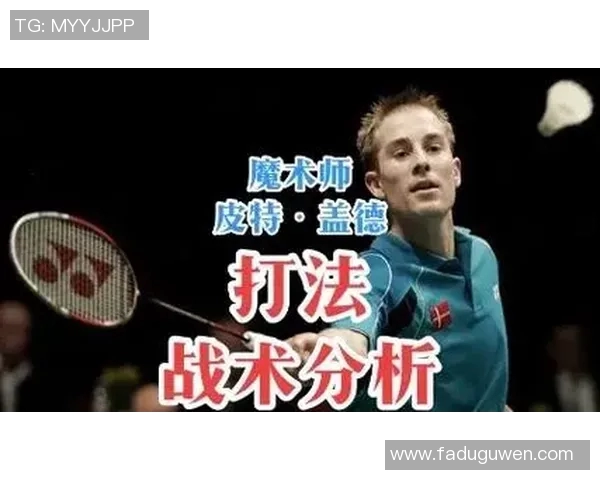 杭州羽毛球队战术分析与表现评估探讨 杭州羽毛球队战术分析与表现评估探讨