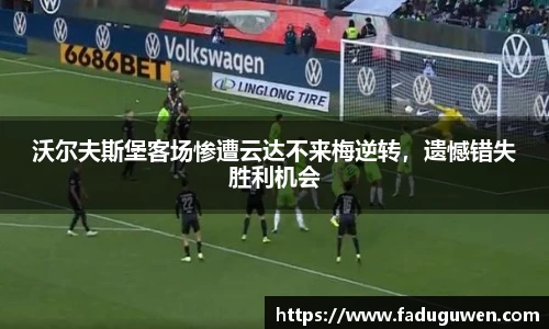 熊猫体育平台